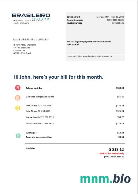 Brazylia Braziliero Telecom business telecommunication bill Word i szablon PDF